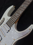Electric Guitar OEM, fingerboard inlay, Floyd Rose Tremolo Bridge guitar，Handmade guitar